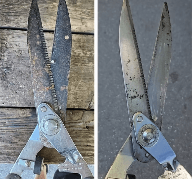 Kitchen Scissors Before and After Sharpening